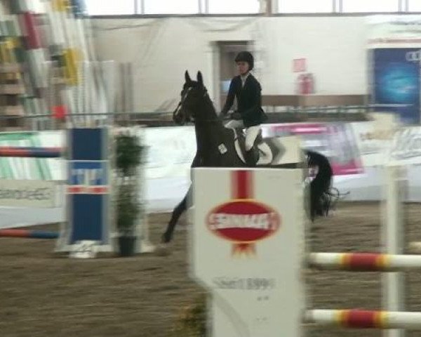 Hallenspringturnier Borken 2012