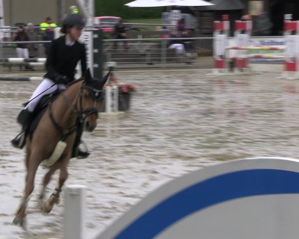 Reitturnier Olfen-Vinnum 2024