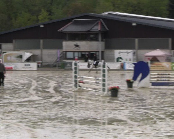 Reitturnier Olfen-Vinnum 2024