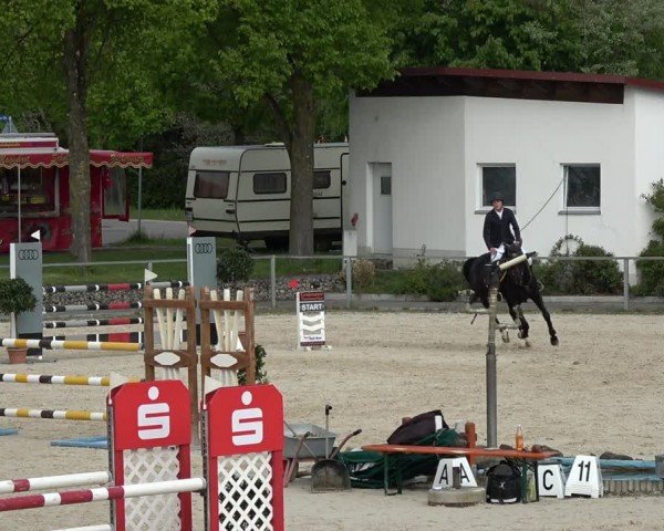 Reitturnier Ingolstadt-Hagau/Obb. 2024