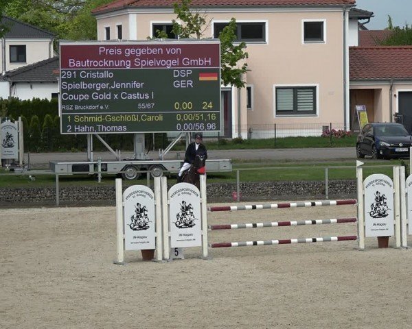 Reitturnier Ingolstadt-Hagau/Obb. 2024