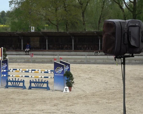 Reitturnier Ingolstadt-Hagau/Obb. 2024