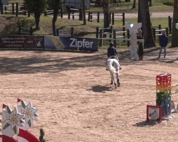FEI Springturnier Stadl Paura 2024