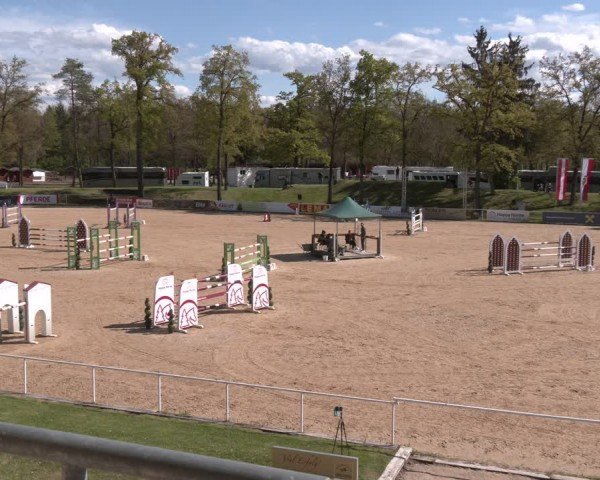 FEI Springturnier Stadl Paura 2024