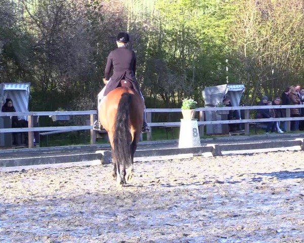 Reitturnier Ladelunder Turniertage 2024