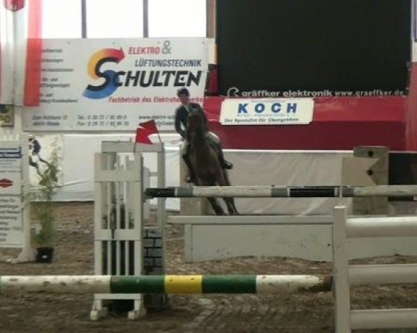 Hallenspringturnier Borken 2012