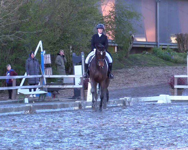 Reitturnier Ladelunder Turniertage 2024