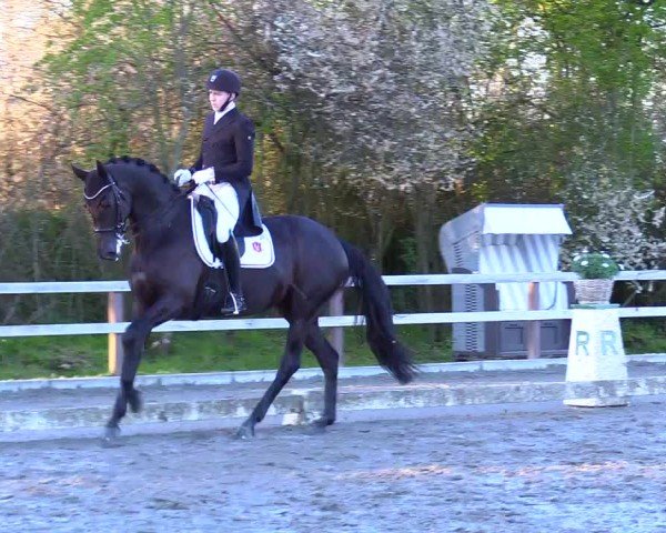 Reitturnier Ladelunder Turniertage 2024