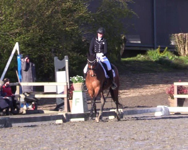 Reitturnier Ladelunder Turniertage 2024