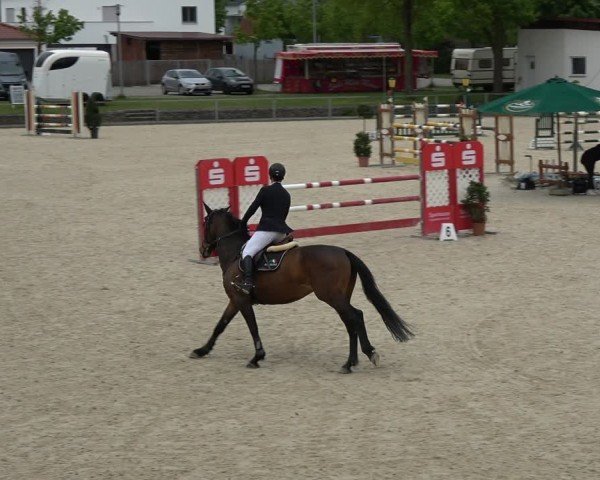 Reitturnier Ingolstadt-Hagau/Obb. 2024
