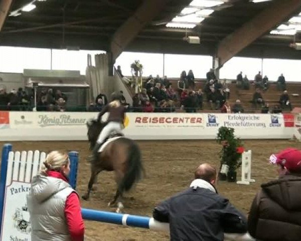 Hallenspringturnier Borken 2012