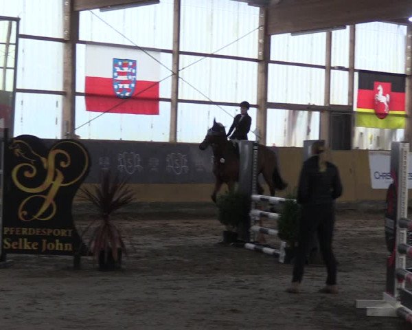 Reitturnier Pausin 2021