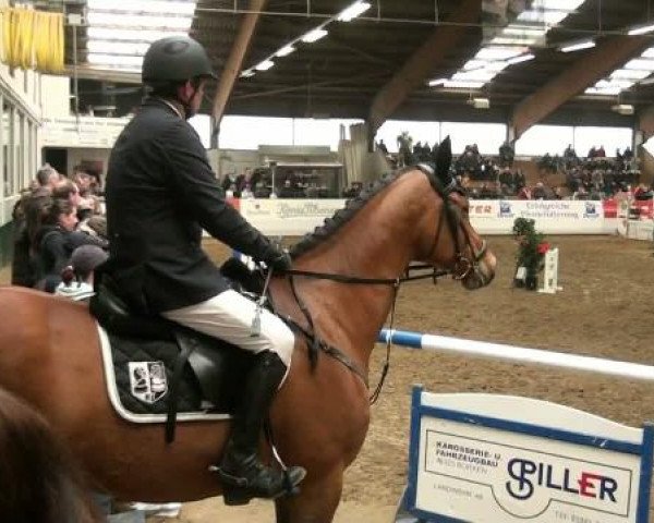 Hallenspringturnier Borken 2012