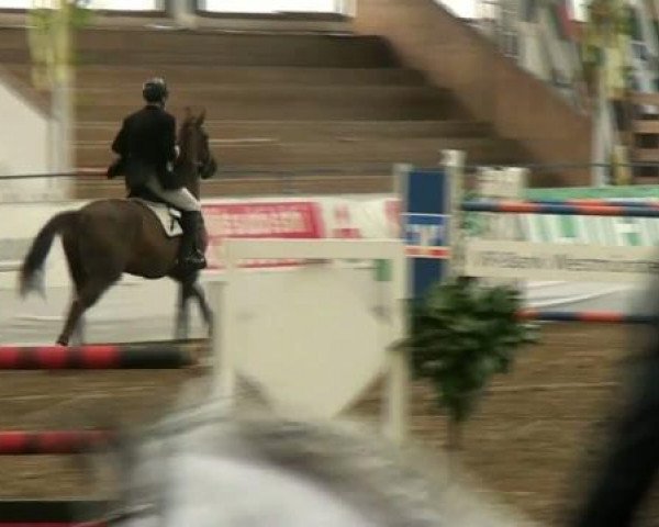 Hallenspringturnier Borken 2012
