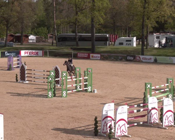FEI Springturnier Stadl Paura 2024