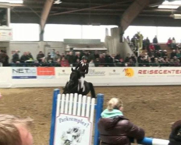 Hallenspringturnier Borken 2012