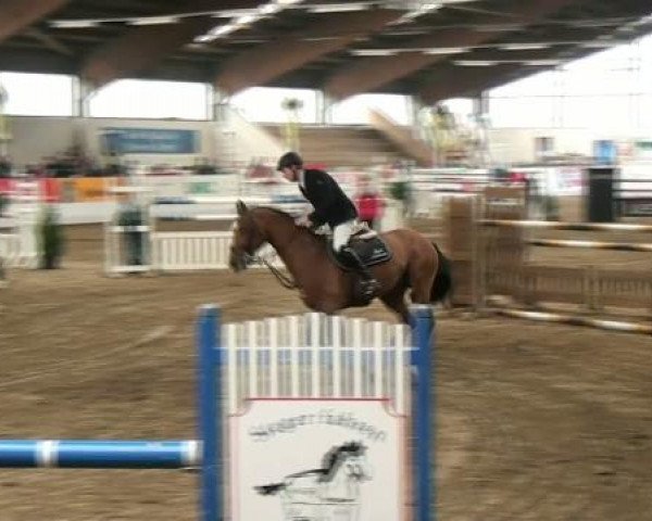 Hallenspringturnier Borken 2012