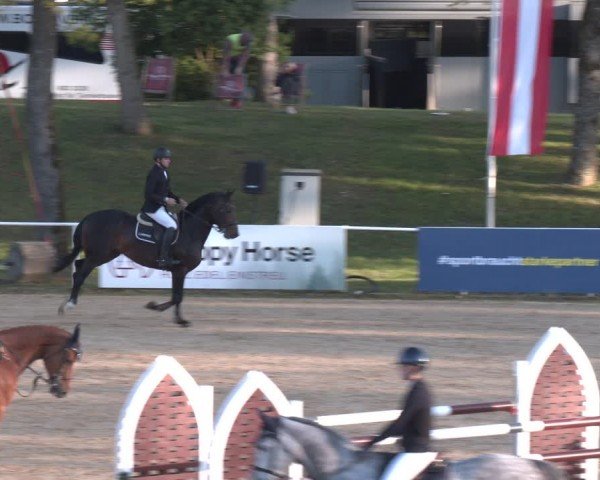 FEI Springturnier Stadl Paura 2024