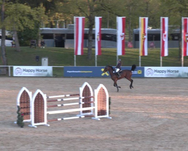FEI Springturnier Stadl Paura 2024
