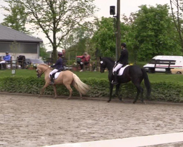 Reitturnier Olfen-Vinnum 2024