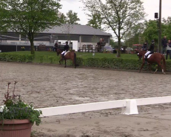 Reitturnier Olfen-Vinnum 2024