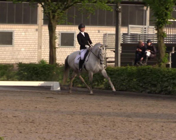 Reitturnier Olfen-Vinnum 2024