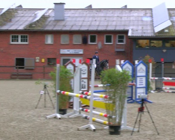 Reitturnier Heiden 2024