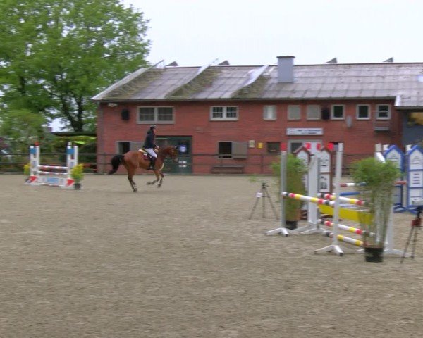 Reitturnier Heiden 2024