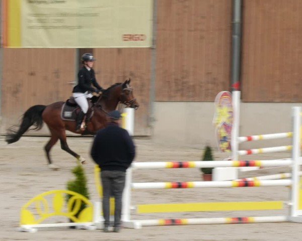 Reitturnier Großostheim/Ufr. 2024