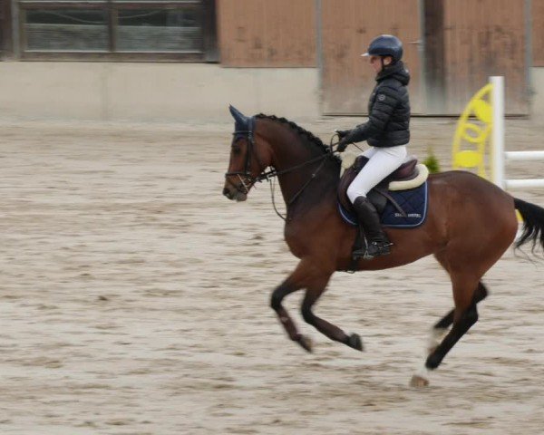 Reitturnier Großostheim/Ufr. 2024