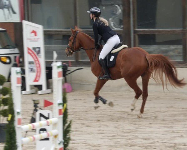 Reitturnier Großostheim/Ufr. 2024