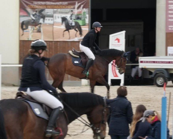 Reitturnier Großostheim/Ufr. 2024