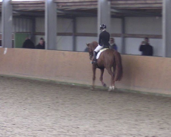 Reitturnier Schlieckau 2024