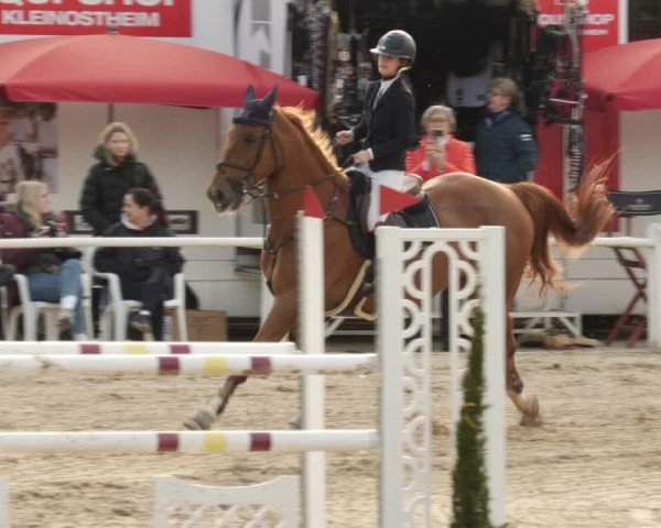 Reitturnier Großostheim/Ufr. 2024