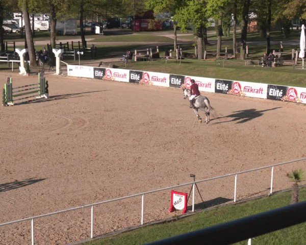 FEI Springturnier Stadl Paura 2024
