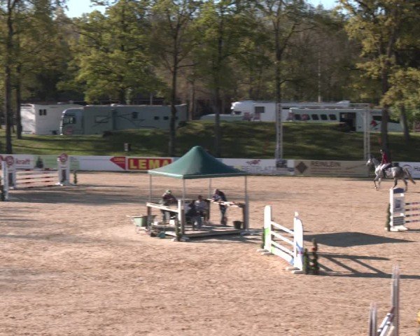 FEI Springturnier Stadl Paura 2024