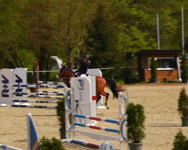 Reitturnier Bad Liebenstein/Sorga 2024