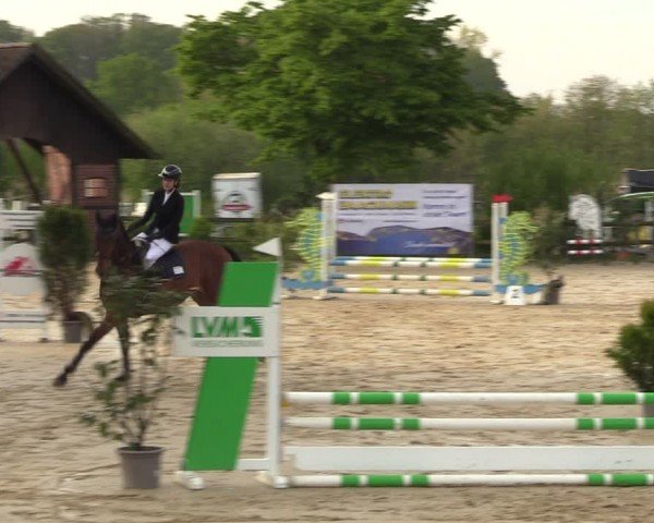 Reitturnier Nienberge 2024