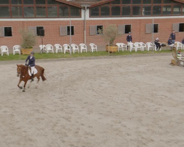 Reitturnier Monheim - Gut Blee 2024