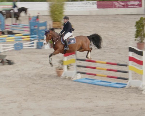 Reitturnier Monheim - Gut Blee 2024