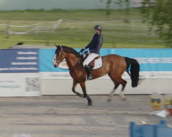 Reitturnier Monheim - Gut Blee 2024