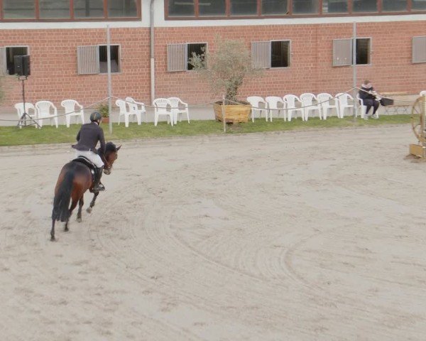 Reitturnier Monheim - Gut Blee 2024