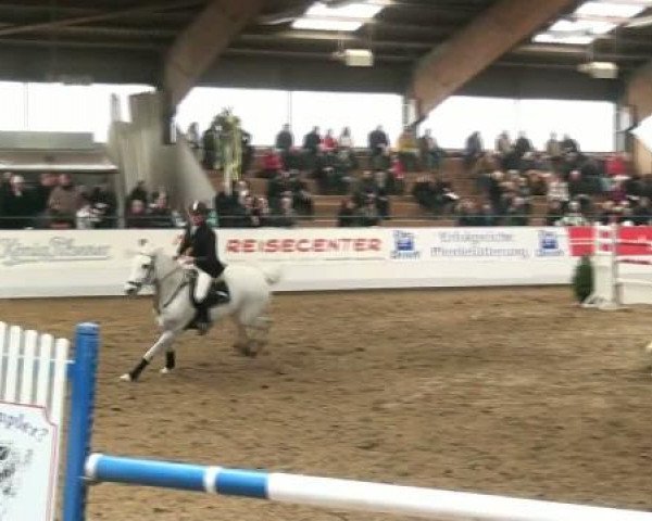 Hallenspringturnier Borken 2012