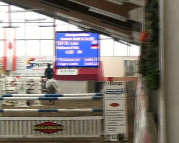 Hallenspringturnier Borken 2012