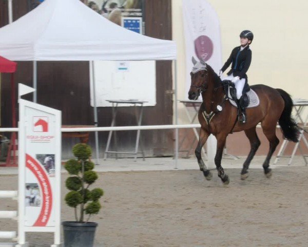 Reitturnier Großostheim/Ufr. 2024