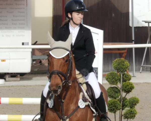 Reitturnier Großostheim/Ufr. 2024