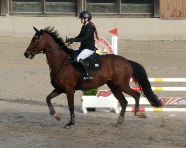 Reitturnier Großostheim/Ufr. 2024