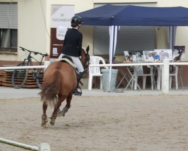 Reitturnier Großostheim/Ufr. 2024