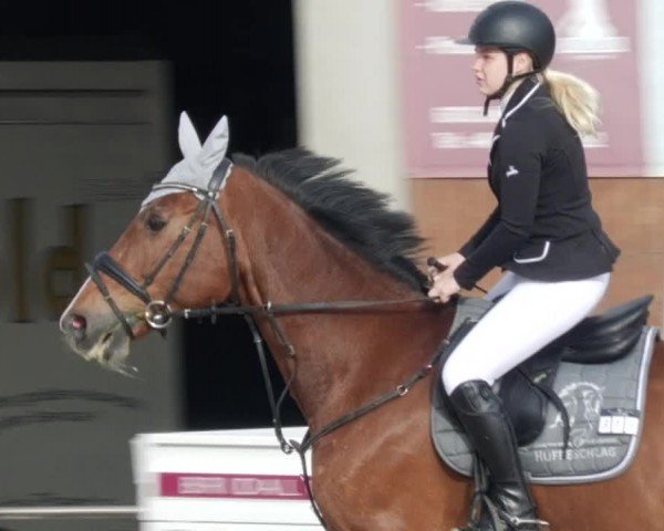 Reitturnier Großostheim/Ufr. 2024