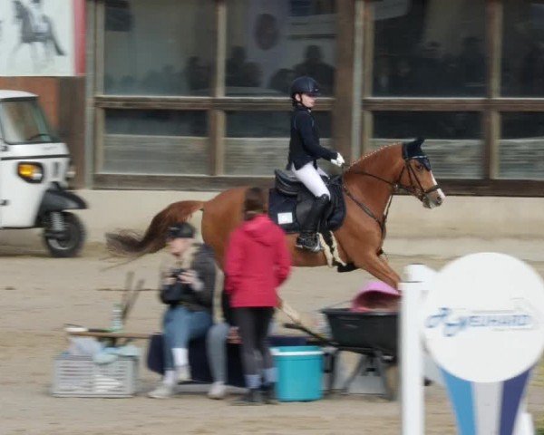 Reitturnier Großostheim/Ufr. 2024